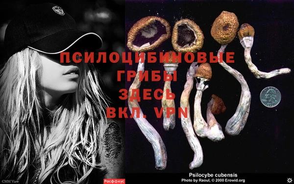 соль курить ск Заволжье
