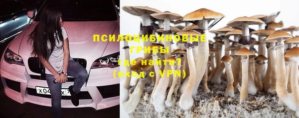 ALPHA PVP Заводоуковск