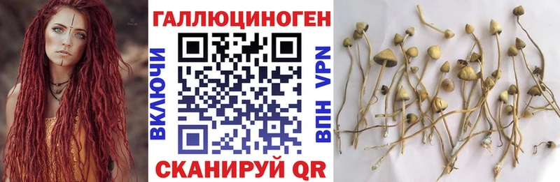 Купить закладки  Нижнеудинск  Псилоцибиновые грибы Magic Shrooms 